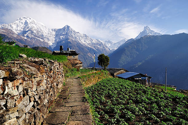 Nepal Tour Package – 7 Nights / 8 Days  (3N Kathmandu – 3N Pokhara – 1N Jomsom – Return Kath
