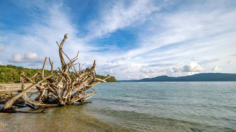 Welcome To Andaman 4 Night - 5 Days Tour