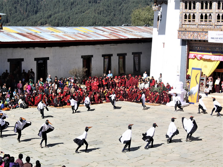 11 Days Bhutan - Blacked Necked Crane - Festival Tour