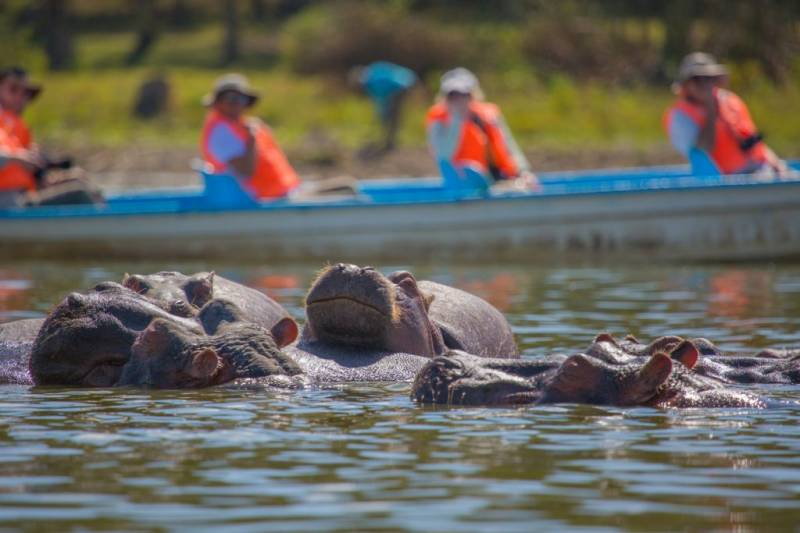 5D Maasai Mara - Lake Naivasha - Lake Nakuru Lodge Safari Tour