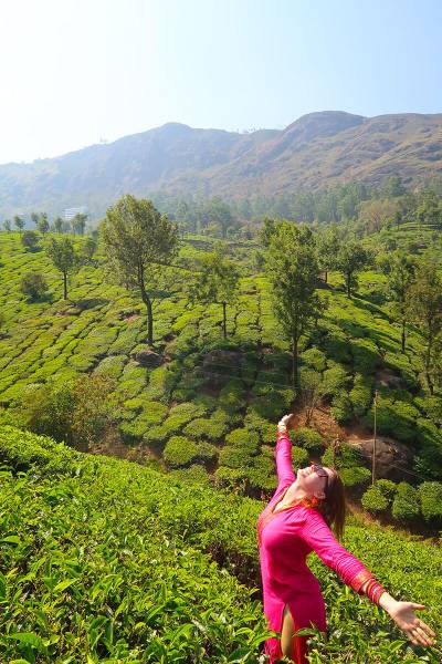 5 Nights - 6 Days Kerala Tour Package Image