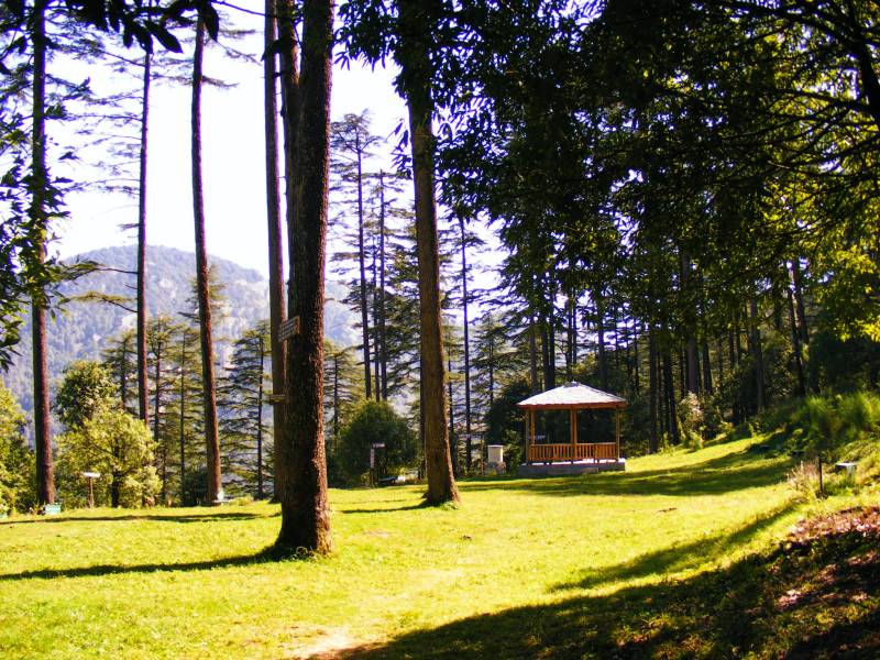 Dehradun - Chakrata - Mussoorie Tour 5 Night - 6 Days Image