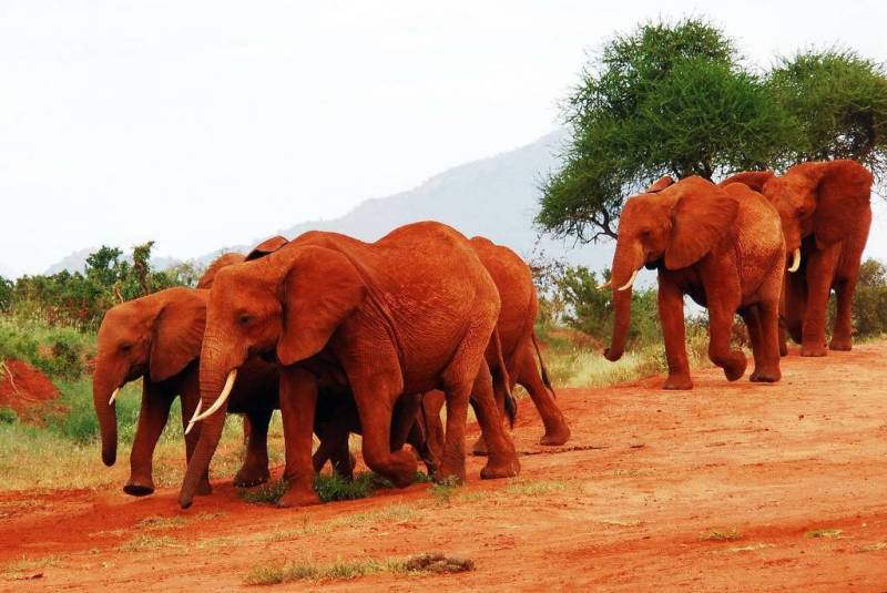 South Africa In A Week - City - Coast - Safari Adventure 6 Nights 7 Days Tour