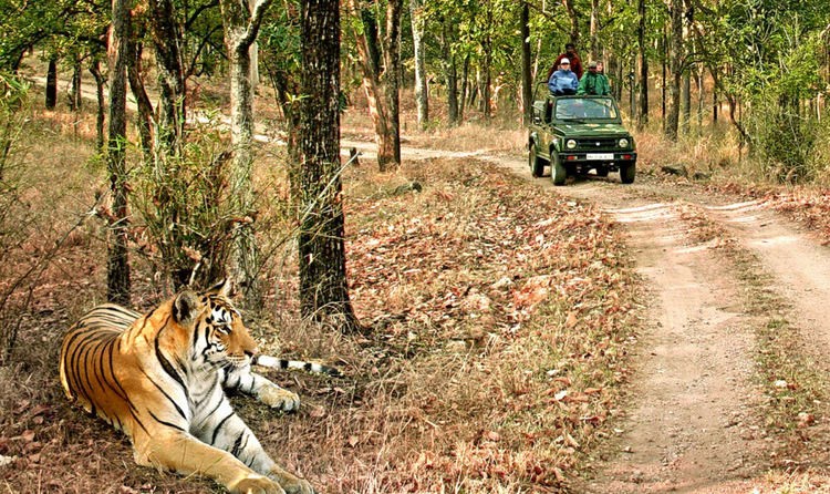 Corbett Wildlife Safari Tour Ex - Delhi Image