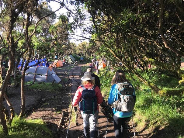 6-Day Umbwe Route Kilimanjaro Trekking Tour