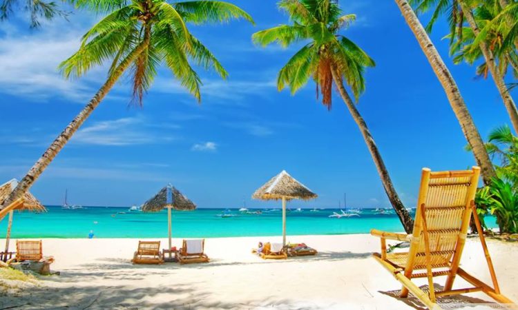 12 Day Premium Safari And Beach Tour