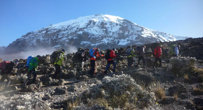 9 Days Northern Circuit - Kilimanjaro Trekking Tour Image