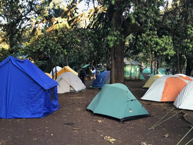 7-Day Passing Through Lemosho Route Trekking Kilimanjaro Tour