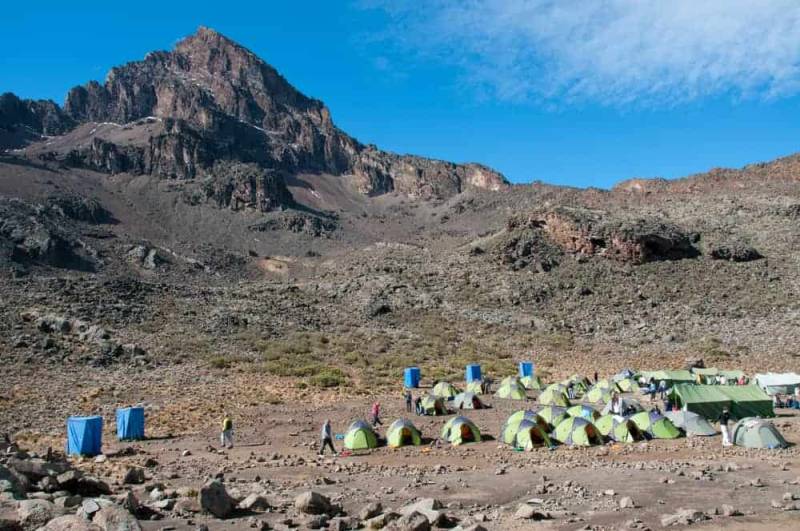 7-Authentic Day Rongai Route Kilimanjaro Trekking Tour