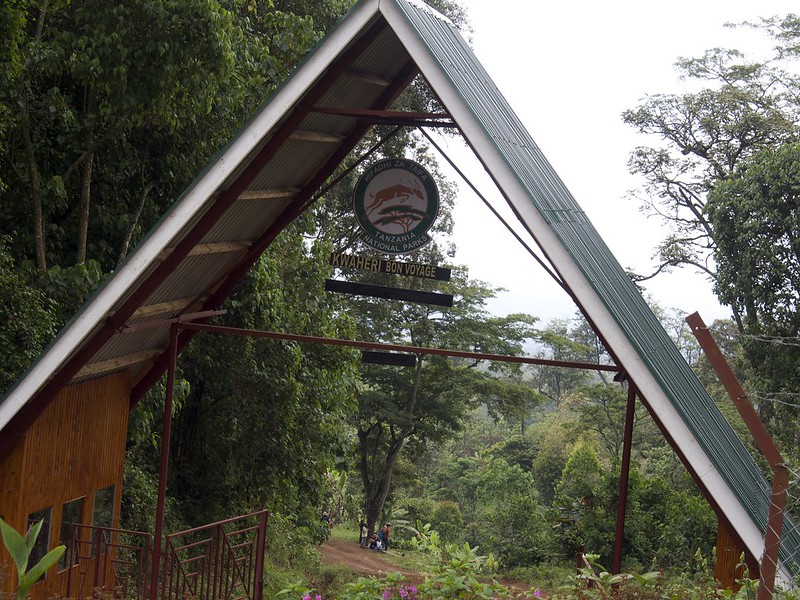 7 Days Kilimanjaro - Shira Route Tour