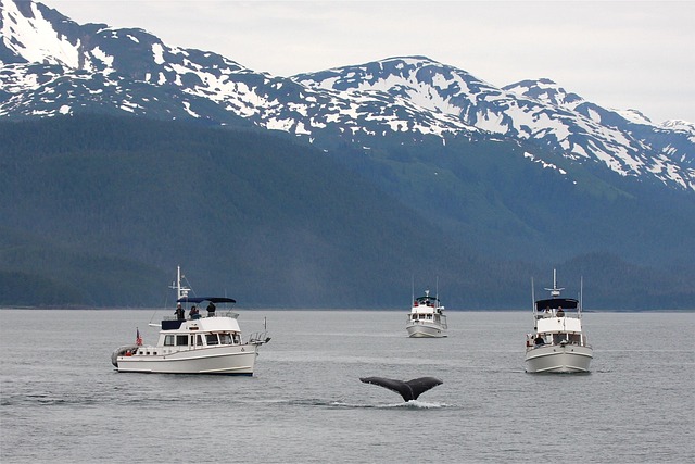 Alaska Glacier Discovery Cruise - 7 Nights - 8 Days Tour