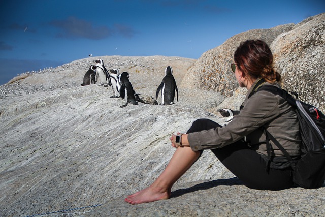 Southern Ocean Cape Escape - Western Cape - Cape Town - South Africa Tour Image
