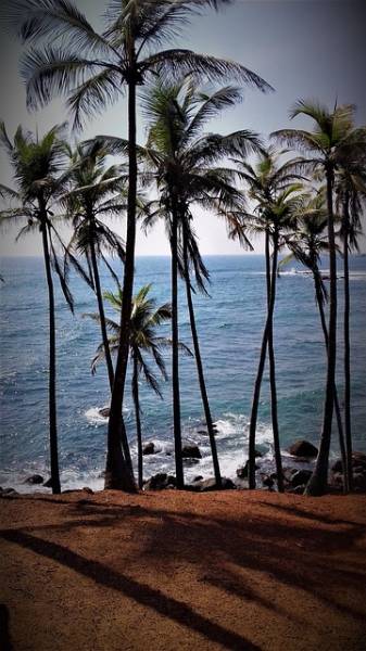 Sri Lanka - The Ultimate Adventure Escape Tour Image