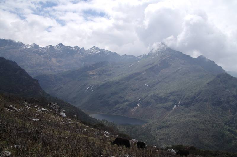 Druk Path Trek Tour 8 Nights - 9 Days