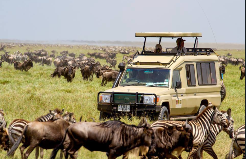 5 days Masai Mara-Lake Nakuru- Lake Naivasha