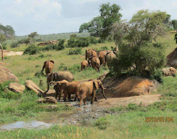 1 Day Mombasa City Tours Image