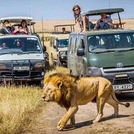 4-Day Masai Mara And Lake Nakuru Joining Group Tour