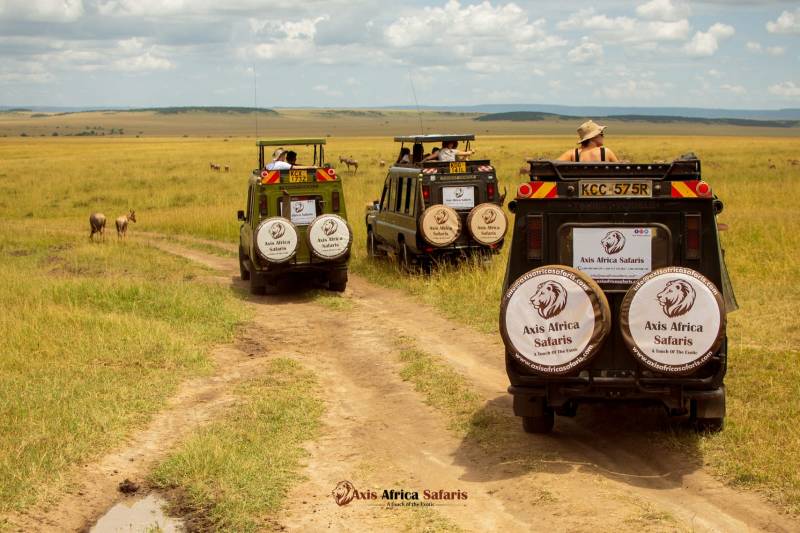 8 Days Masai Mara - Nakuru - Naivasha - Ol Pejeta - Amboseli Tour