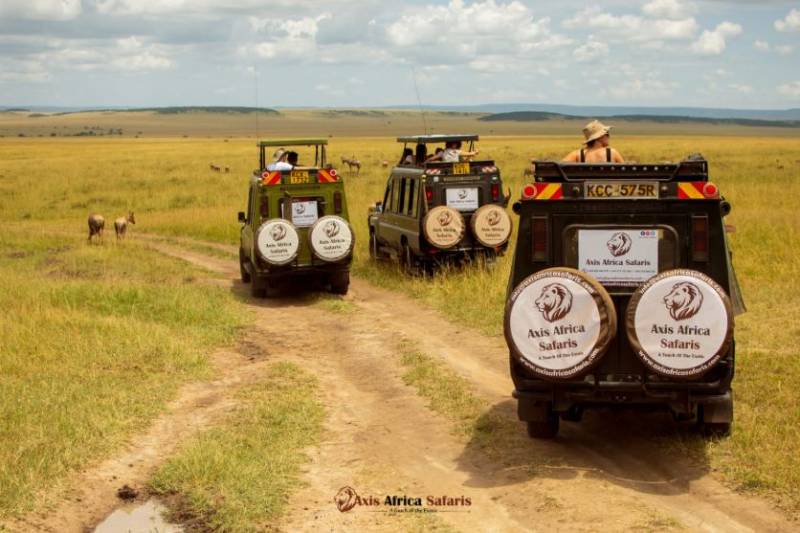8 Days Masai Mara - Nakuru - Naivasha - Ol Pejeta - Amboseli Tour