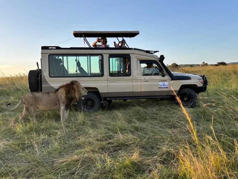 6 Days Mt Kenya Climbing - Naromoru - Sirimon Route Tour