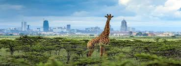 6 Nights 7 Days Tour Package  to Nairobi National Park, Amboseli National Park and Masai Mara Nation Image