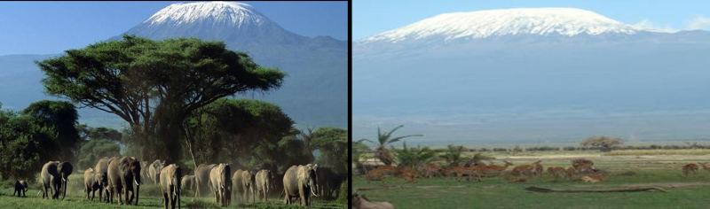 3 Days Amboseli Flying Package - Land of Giants