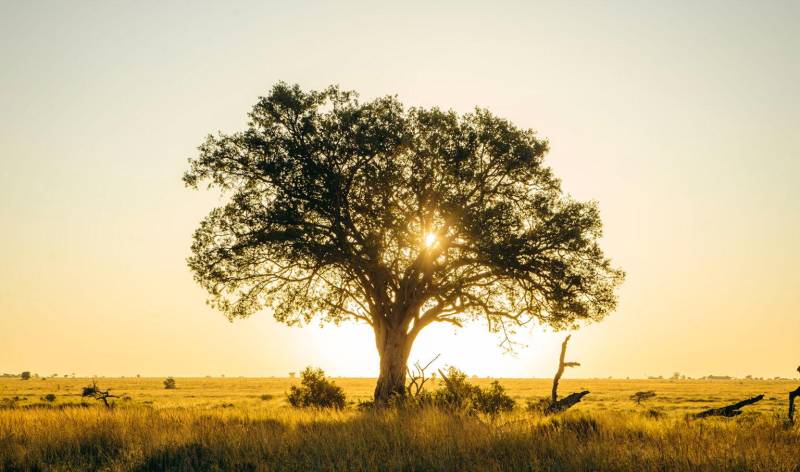 9 Days Tanzania Luxury Safari Tour