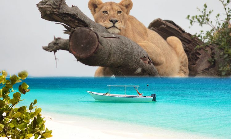 From Savannah To Spice Island 10 Days Safaris Tour
