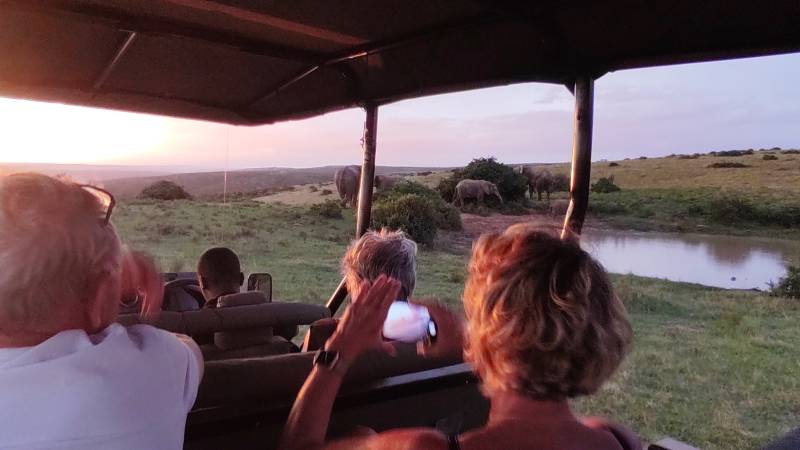 Big 5 Safaris Aquila Sunset Game Drive And Wine Tasting Private Day Tour
