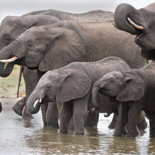 7-Day Wildlife & Outdoor Activities from Mt Kilimanjaro