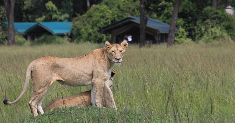 14- Day Kenya and Tanzania Adventure Safari