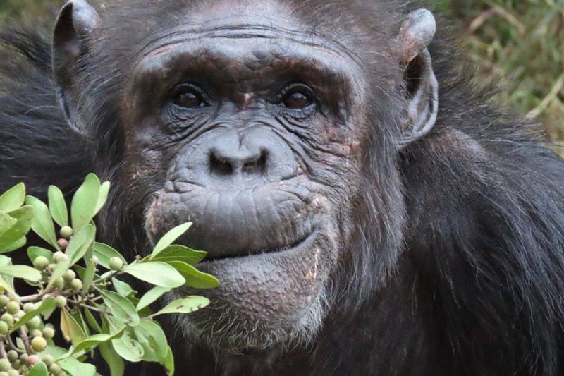 14- Day Kenya and Tanzania Adventure Safari