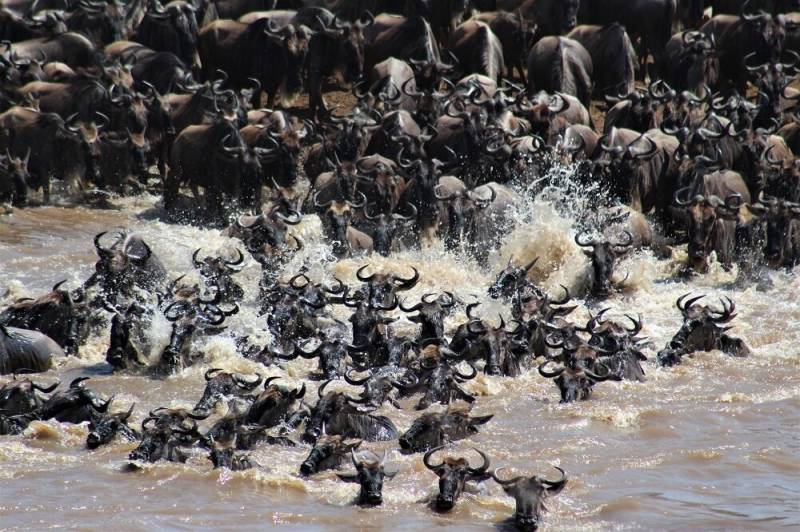 12-Day Kenya & Tanzania Wildlife and Beach Tour Zanzibar