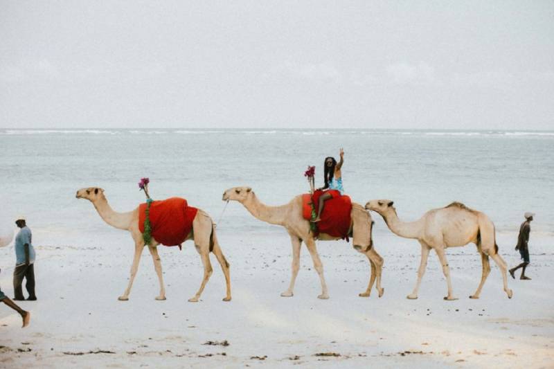 12-Day Kenya & Tanzania Wildlife and Beach Tour Zanzibar