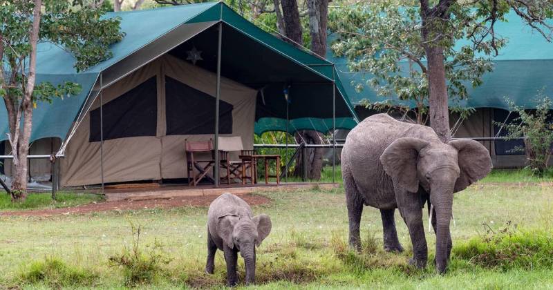 7-Day Fly-in Luxury Amboseli and Masai Mara
