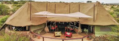 7-Day Fly-in Luxury Amboseli and Masai Mara