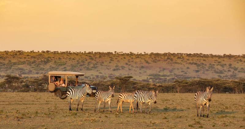 6-Day Masai Mara, Lake Naivasha & Amboseli Big 5 Safari