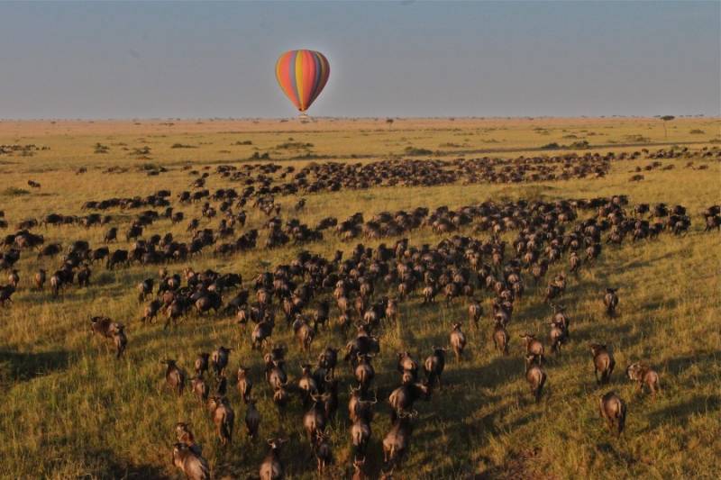 3-Day Fly-in Luxury Safari Package Masai Mara