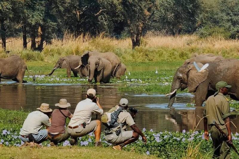 2-Day Magnificient Kilimanjaro Safari