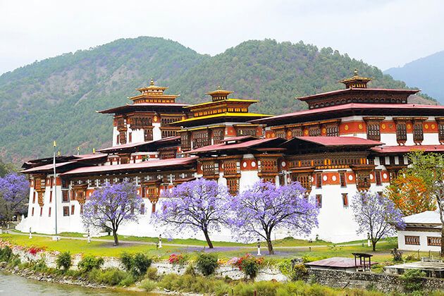 6N - 7D Bhutan Luxurious Tour