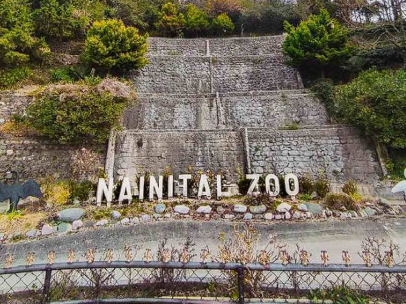 2 Night And 3 Days With Luxury Hotel Dhampur To Nainital