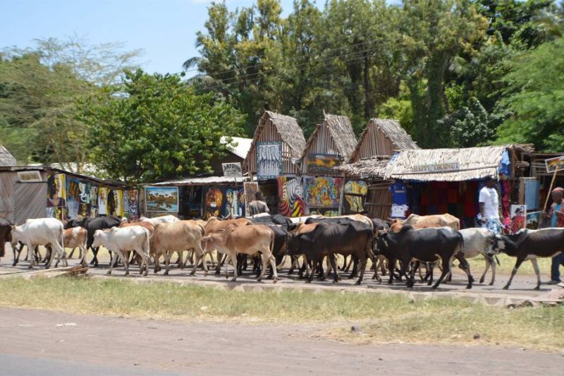 One Day Tanzania - Village Walk Tour