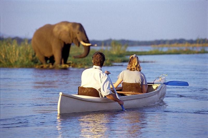 1 Day Tanzania - Lake Manyara Canoeing Safari Tour
