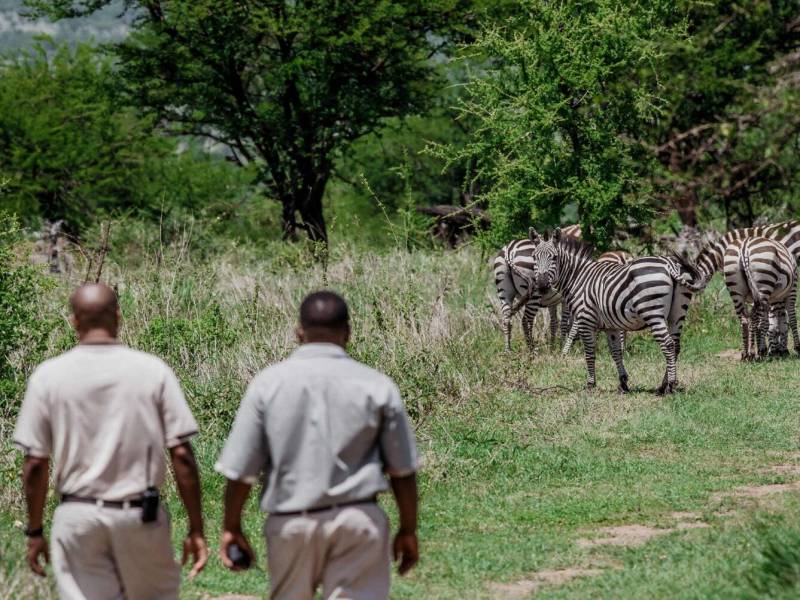One Day Tanzania - Nature Walk Tour