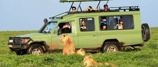 5 night 6 Days Ndutu Migration Safari