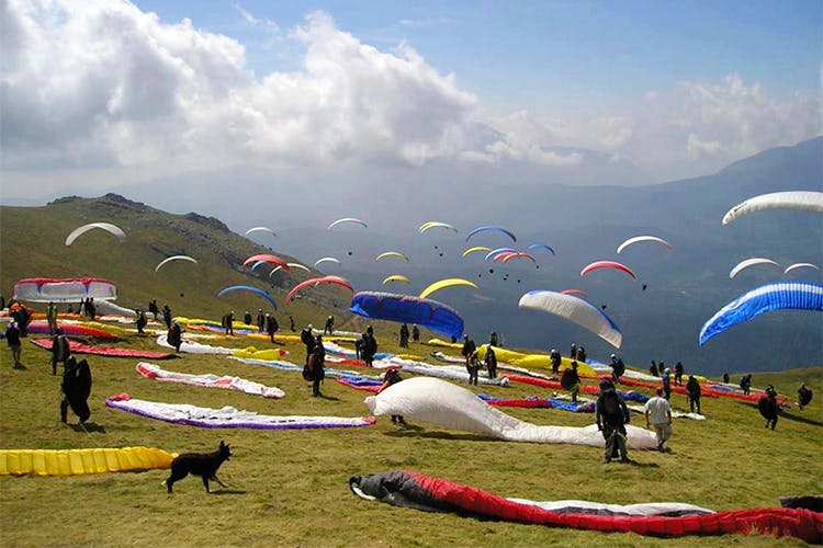 2 Days Bir Billing Paragliding Tour Ex - Kangra
