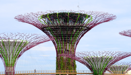 3-Day Itinerary For A Trip To Singapore