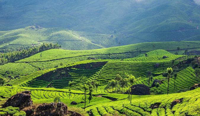 Pidmc Kerala Tour Package 4 N 5 D