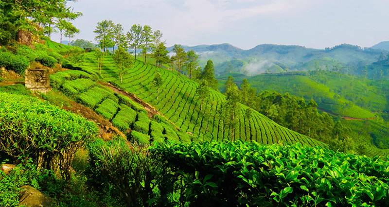 3N Kerala Tour - 3 Star