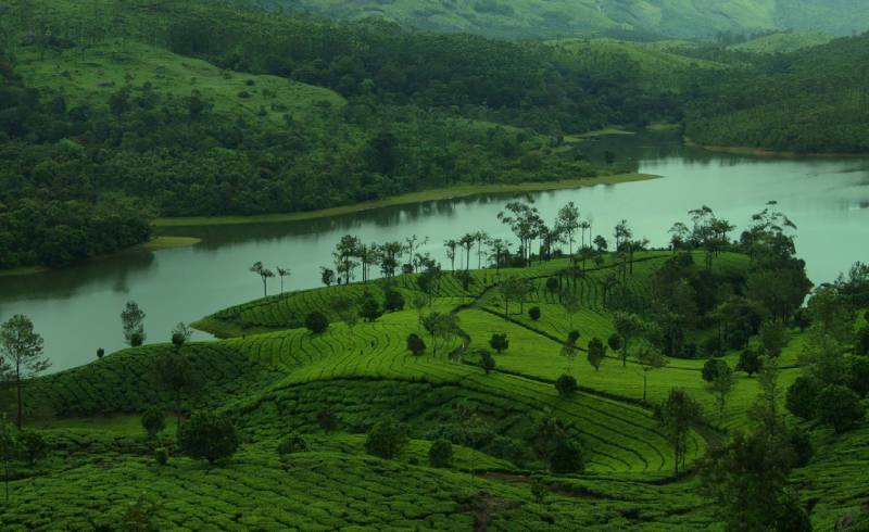 6N Glimpse Of Kerala Tour